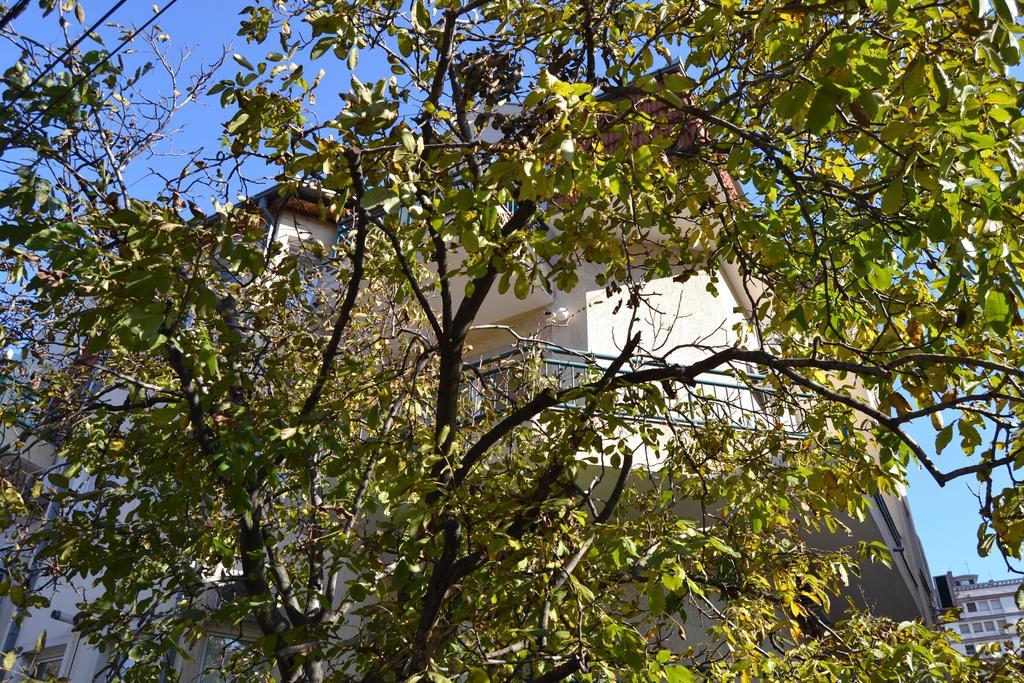 Villa K Apartments Belgrade Room photo